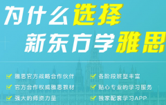 <b>2024年雅思培训学费是多少?如何选班型选价格?</b>