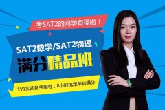 啄木鸟教育怎么样 啄木