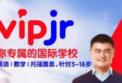 vipjr价格怎么样？