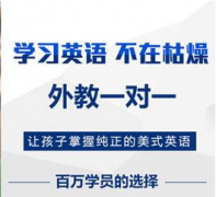 外教一对一收费标准？真实讲述具体费用价格表