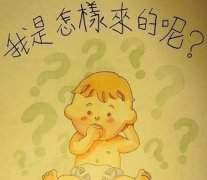 孩子问：我是从哪里来